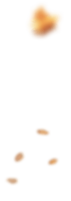 bakery-slider-1-l-4.png